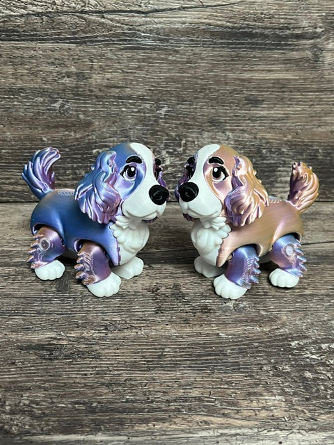 Multicoloured Cocker Spaniel