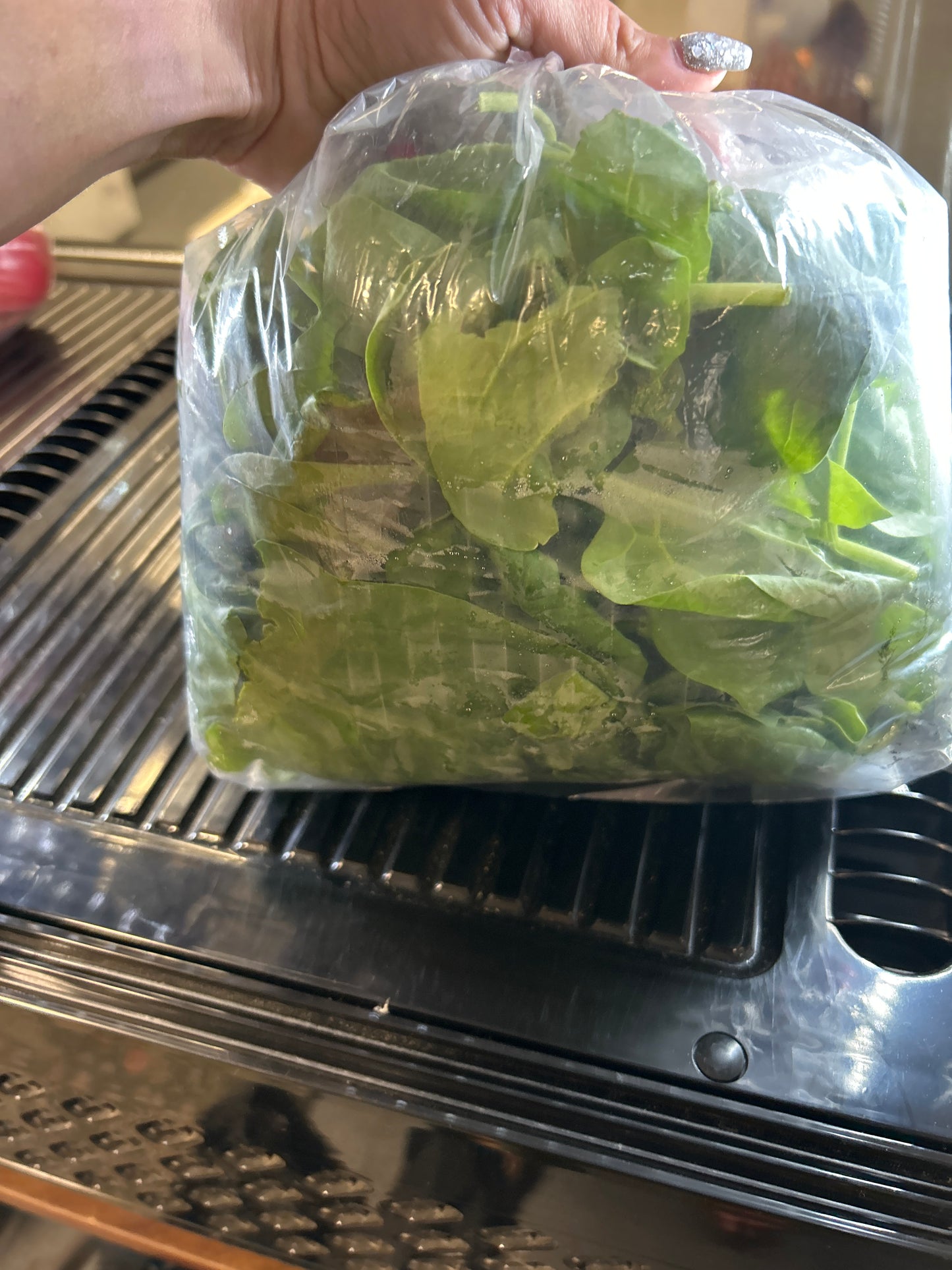 Spinach 100g frozen