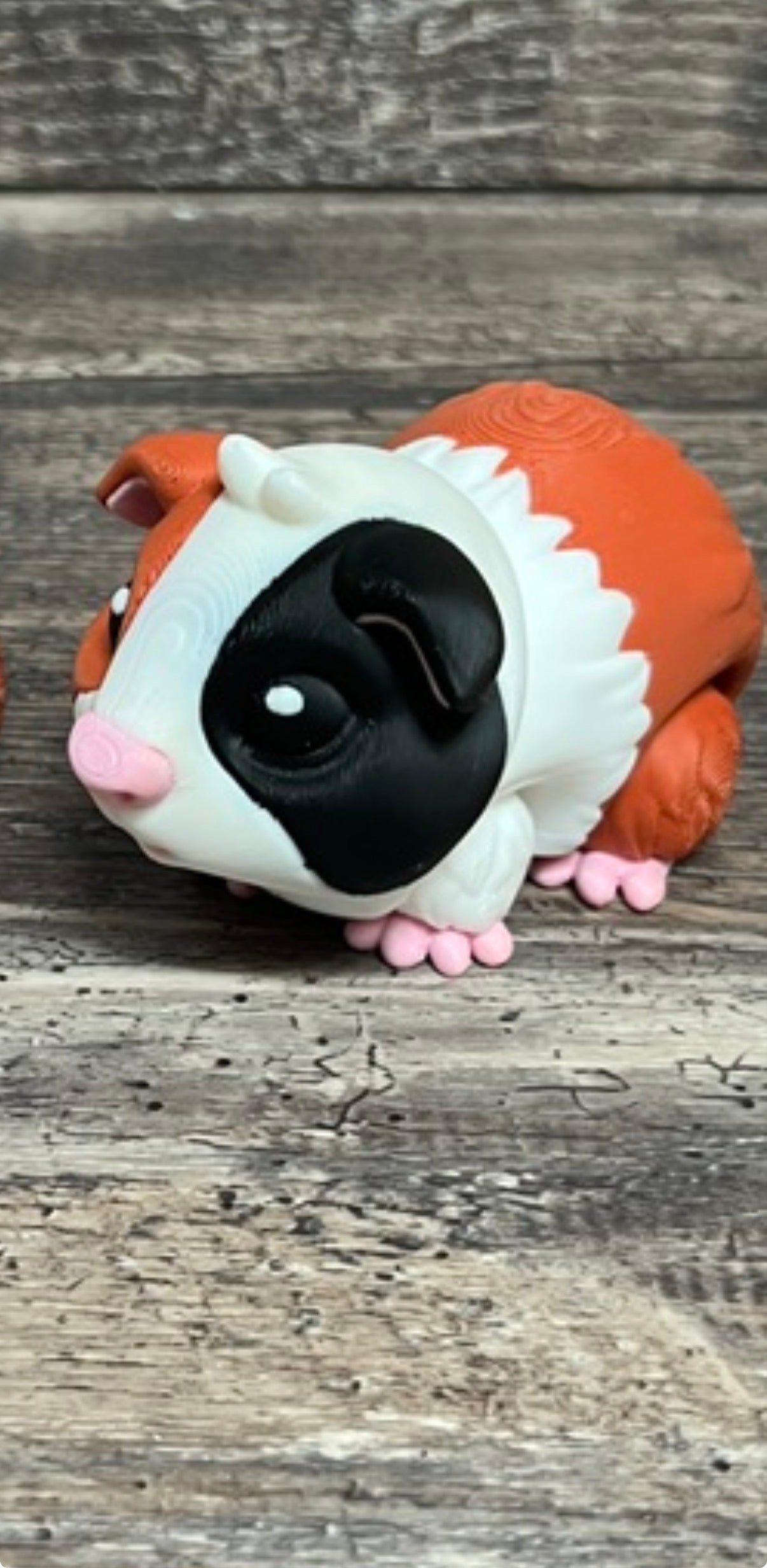 Guinea Pig 3D