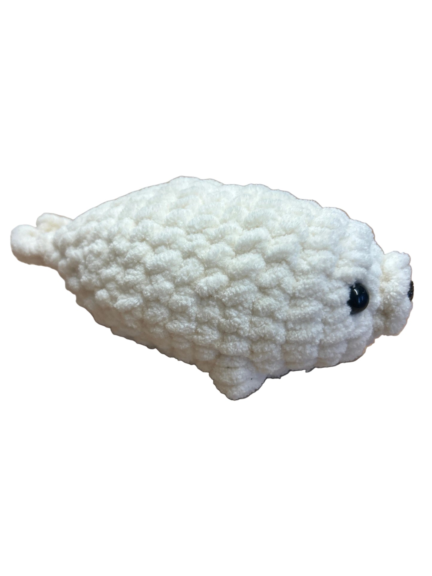 Baby seal
