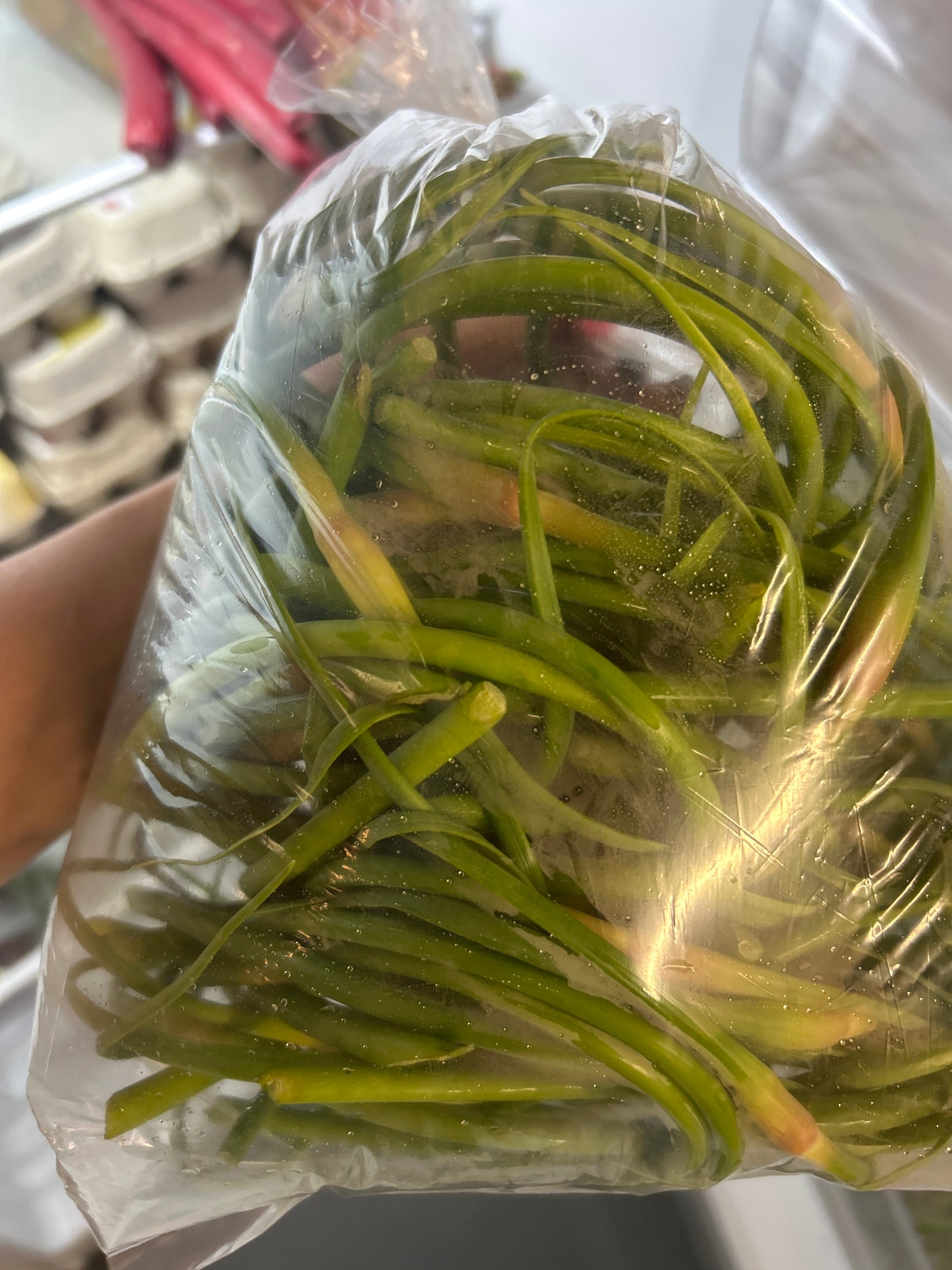 Garlic scapes