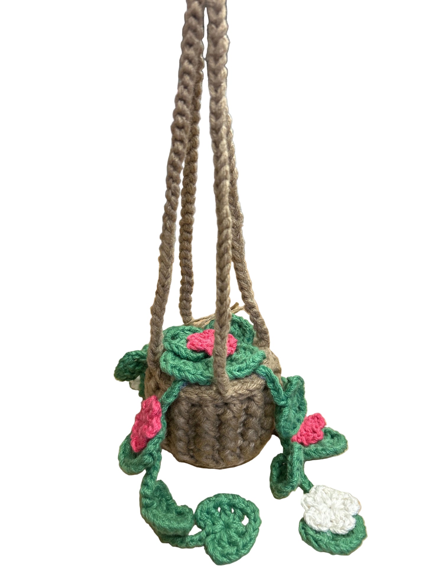 Hanging car mirror plant