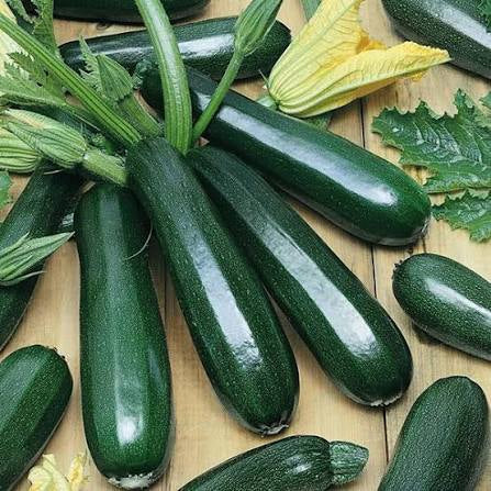 Green Zucchini
