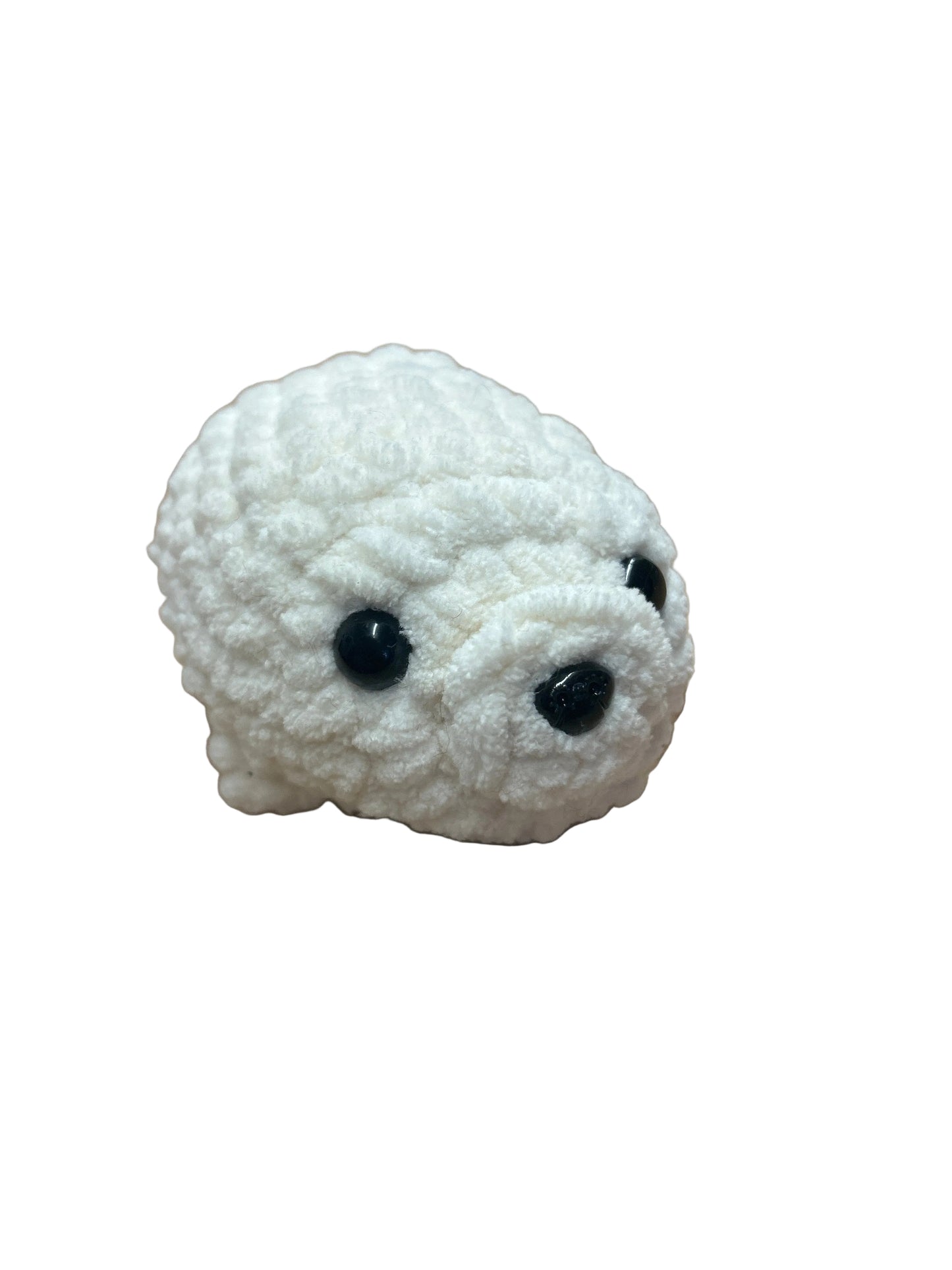 Baby seal