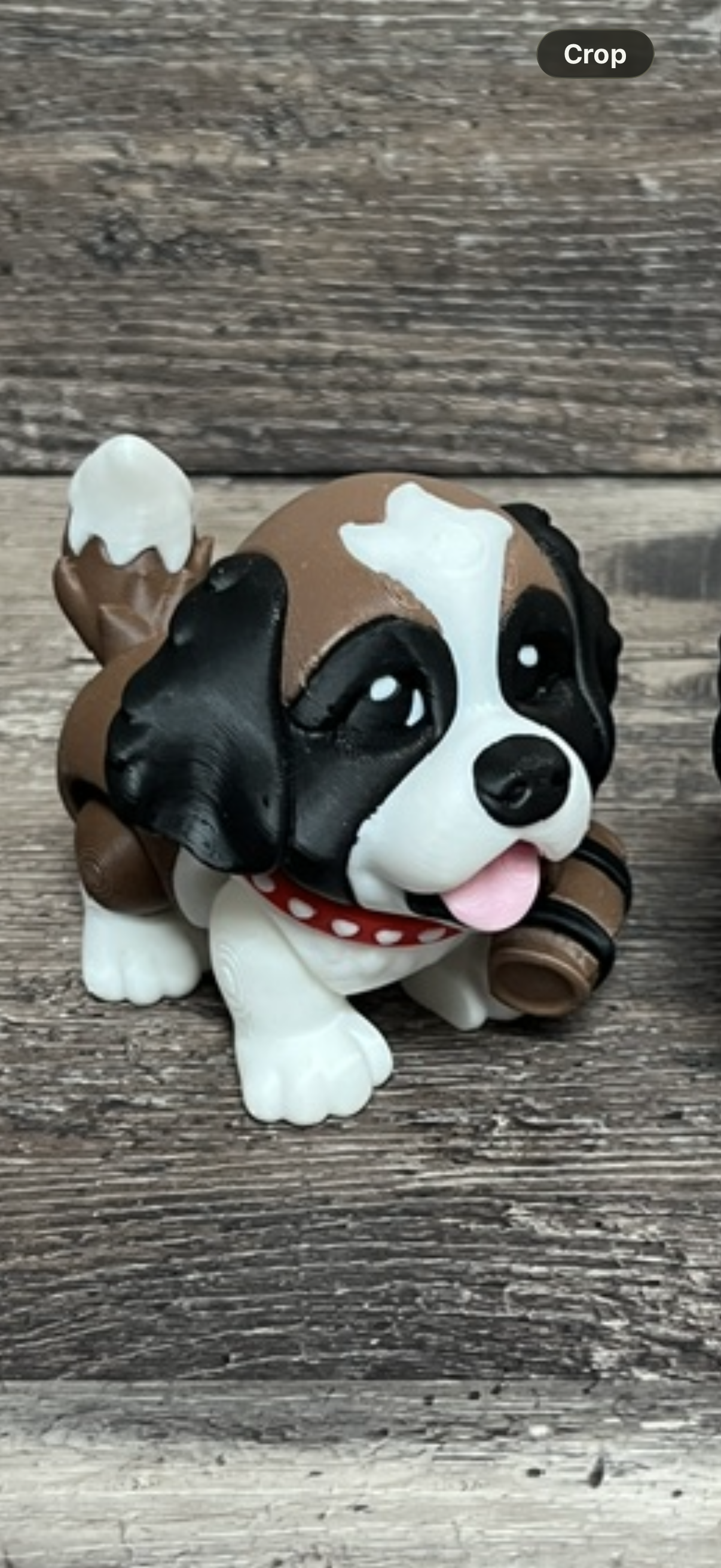 St. Bernard 3D