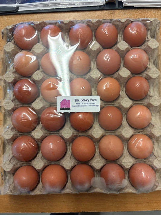 Pullet eggs 30