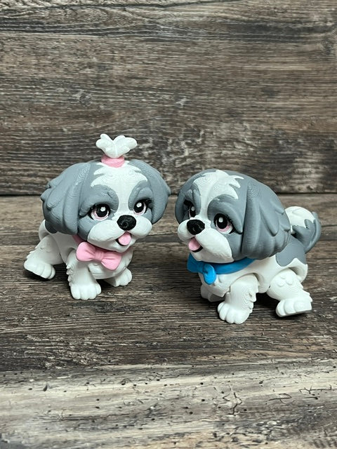 Grey Shitzu 3D