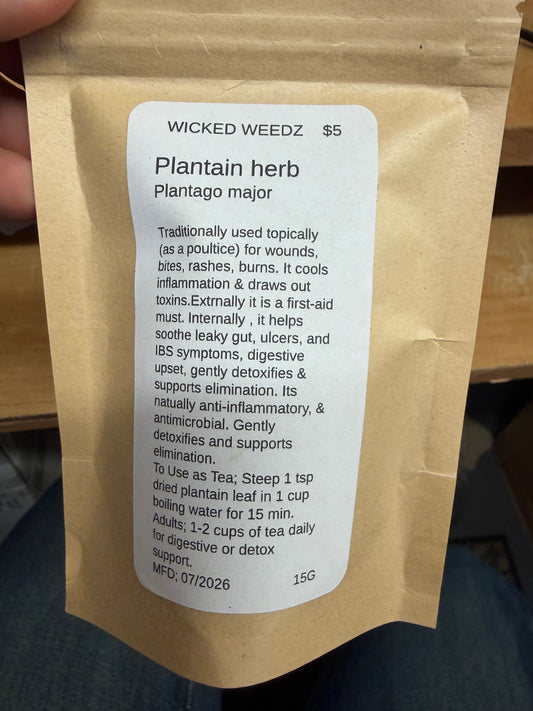 Plantain Herb
