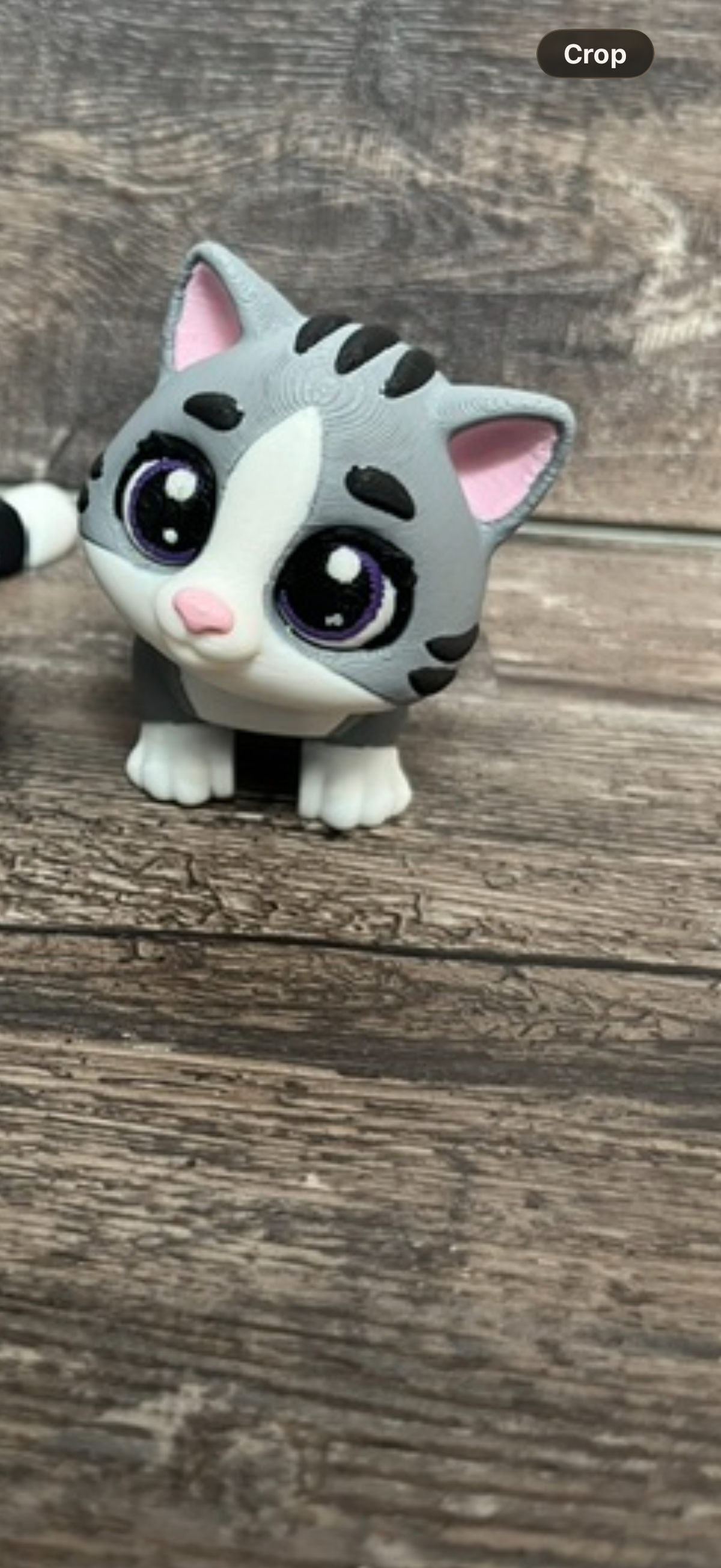 Grey Cat 3D