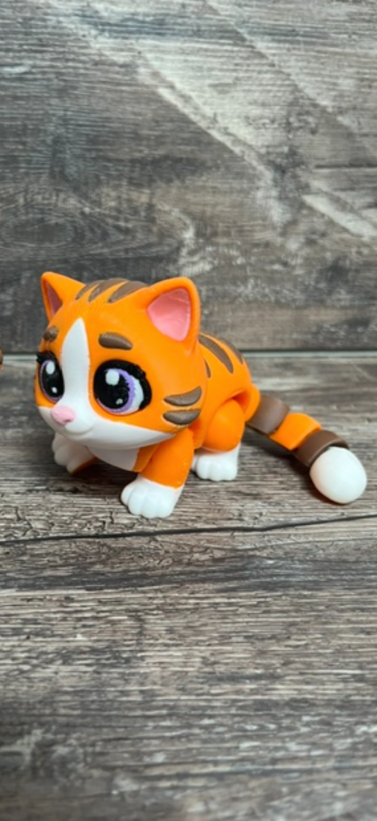 Orange Cat 3D