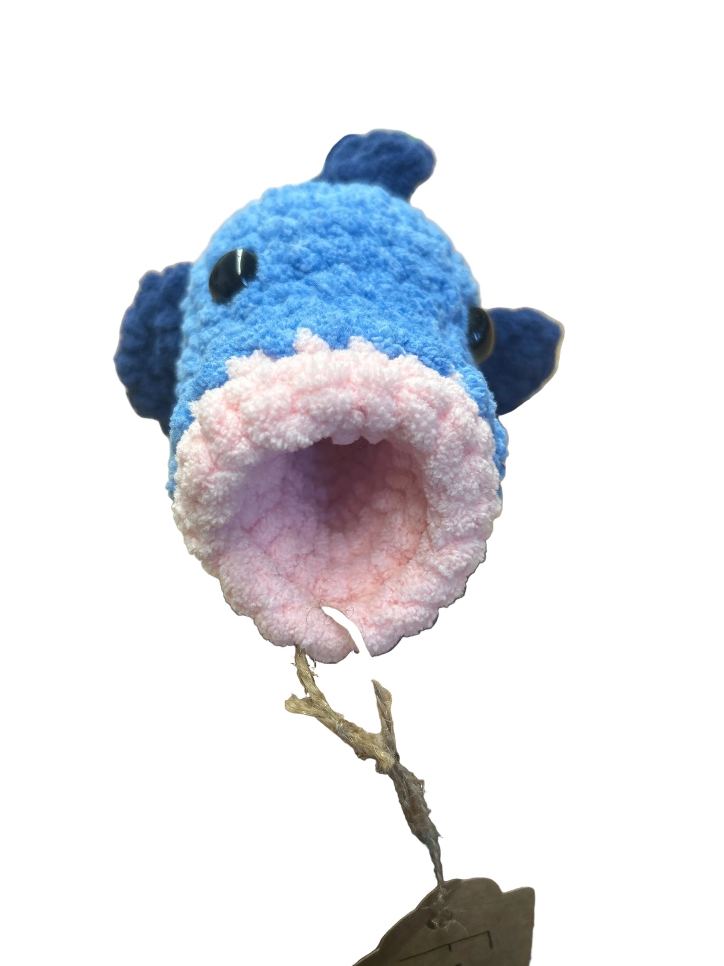 Fish