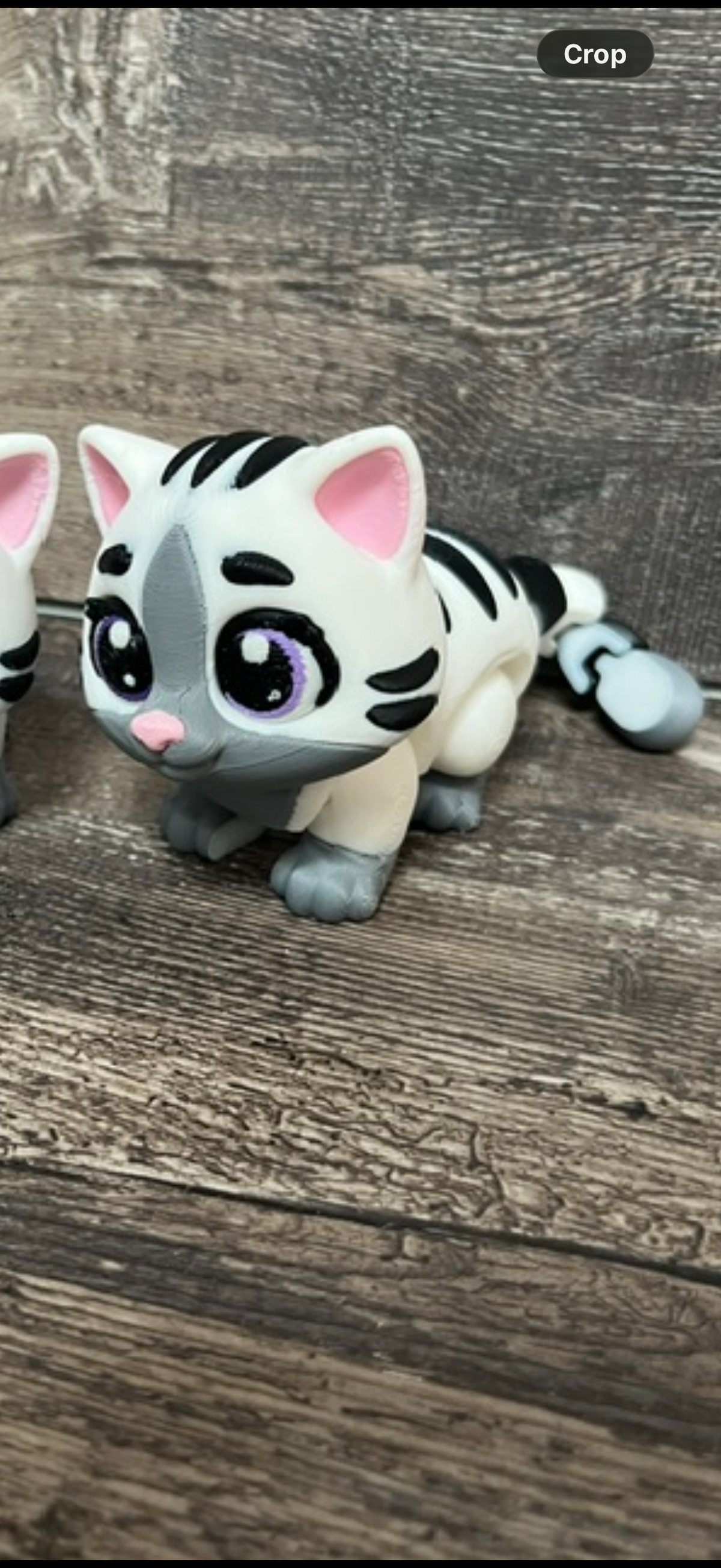 White cat 3D