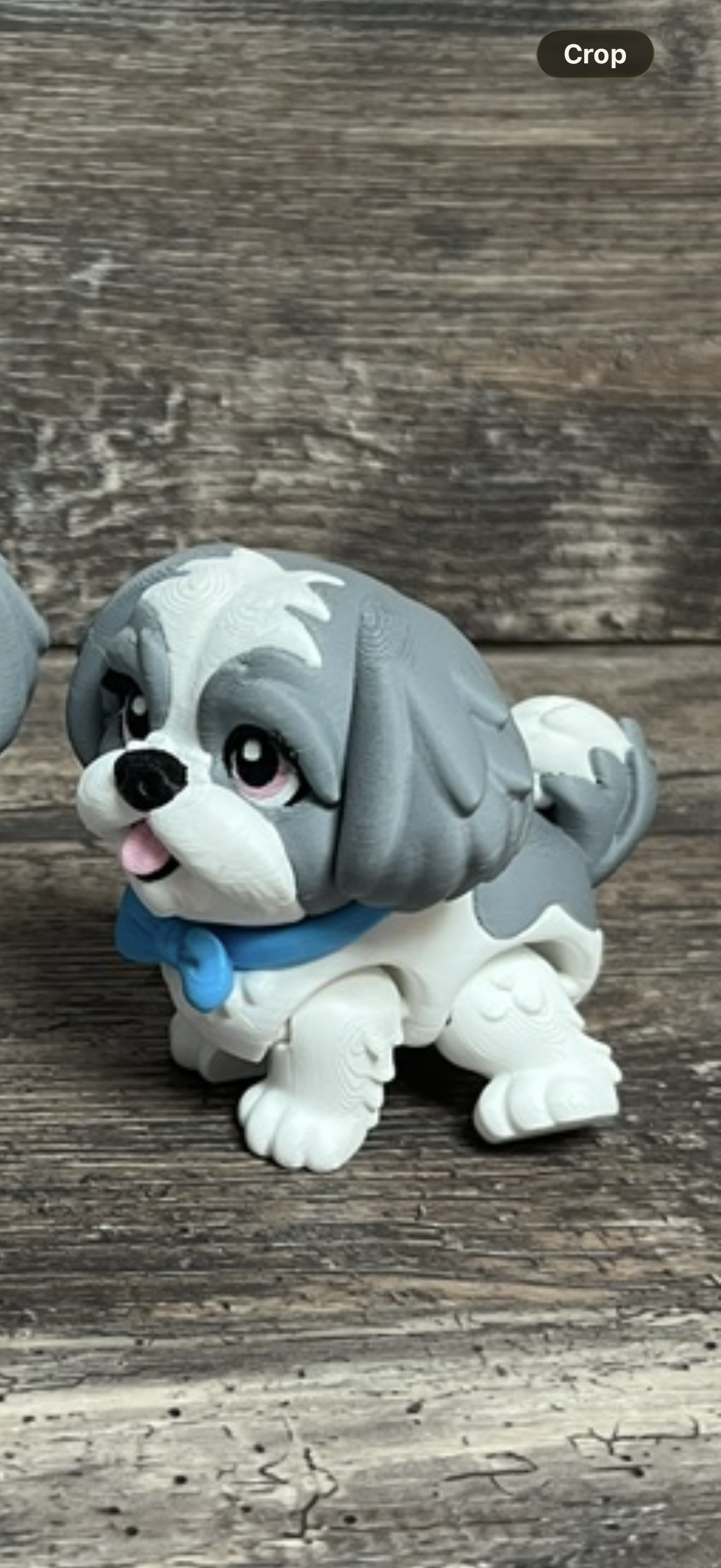 Grey Shitzu 3D
