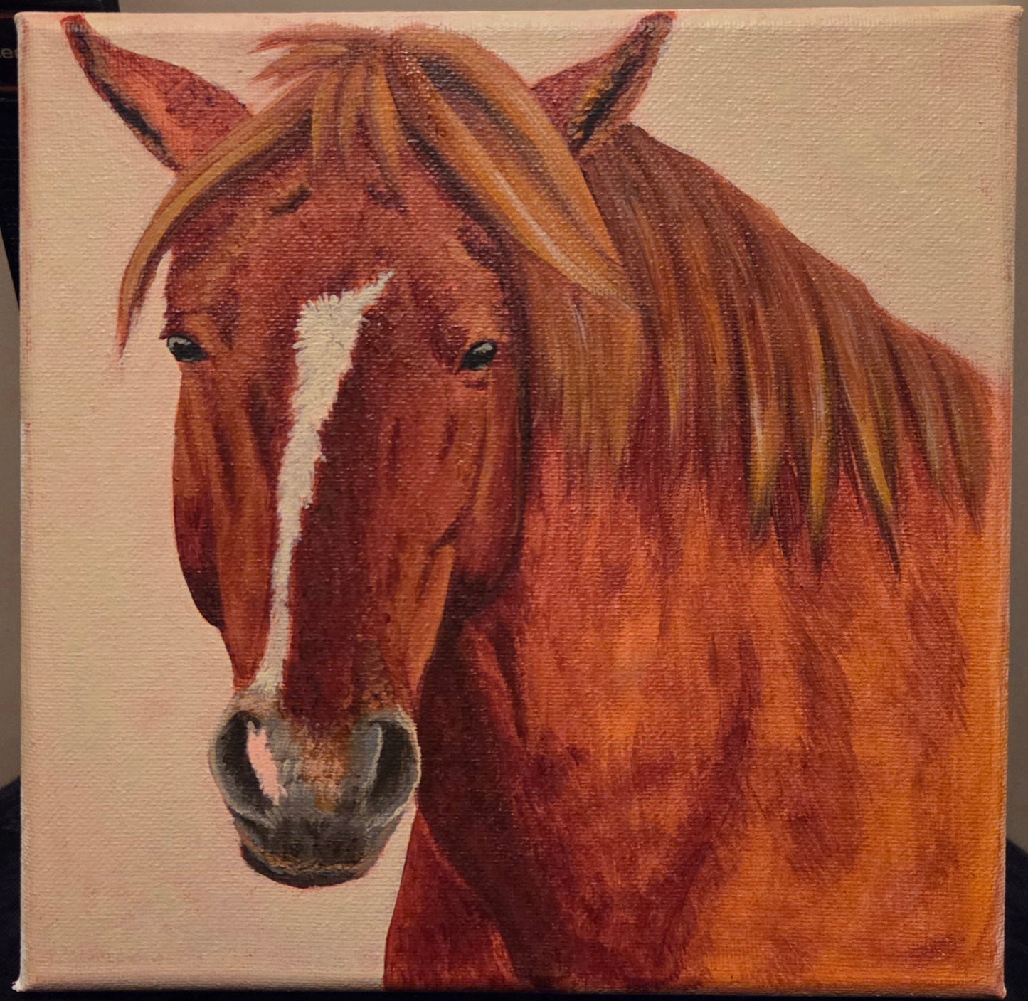 Front Facing Horse